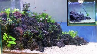 Setting 30cm Aquascape Tank | Easy, Low Maintenance, Low Budget, No CO2 Injection
