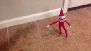 Elf on the shelf comes to our house