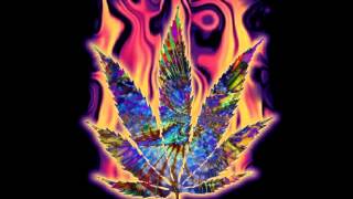 Black Lips - Go Out and Get It !