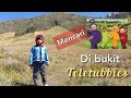 Teletubbies