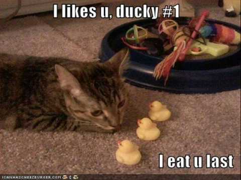 racke (schranz verzija) :)