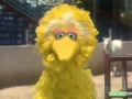 Sesame Street Wish You Were Here Arizona