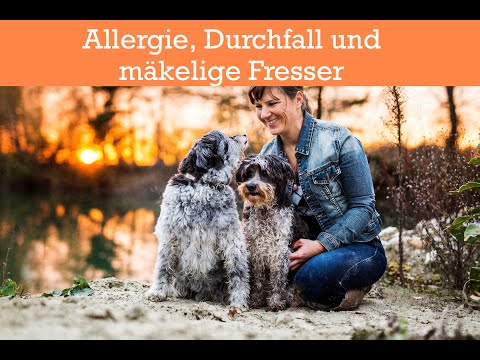 , title : 'Online - Hundeerziehung "Allergie, Durchfall und mäkelige Fresser"'