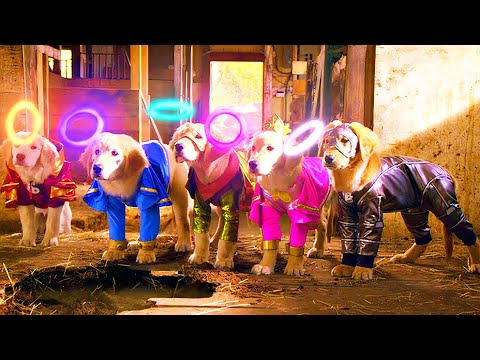 En esta ciudad los PERROS ganaron SUPERPODERES después de ENCONTRAR los LEGENDARIOS ANILLOS DE PODER