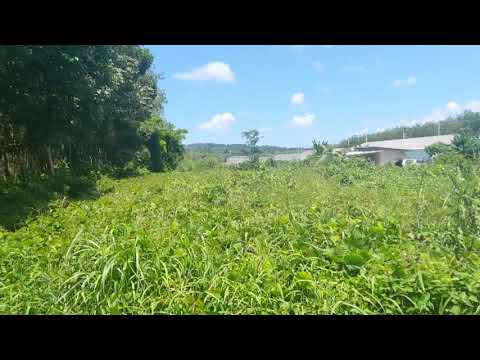 Prime Land Plot Near Main Phuket Road for Sale in Thalang