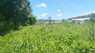 Prime Land Plot Near Main Phuket Road for Sale in Thalang