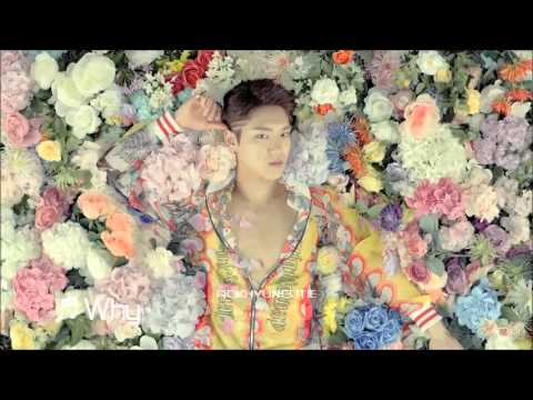 [REAL 100% Mini Album] 100% - Why [Teaser]