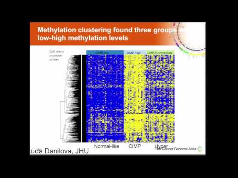 Comprehensive Molecular Profiling of Adrenocortical Carcinoma - Siyuan Zheng