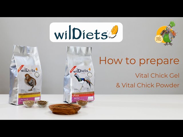 How to prepare Vital Chick Gel