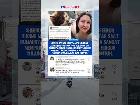 Rumah Uya Kuya Dijar4h, Sherina Bongkar Kondisi Mengenaskan Kucing Peliharaan?