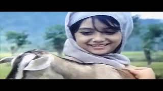 Download lagu rhoma irama full HD (jaka swara) mp3