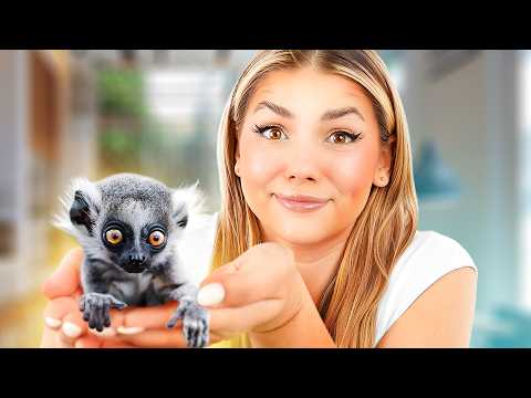 ADOPTOWALIŚMY LEMURA❤️