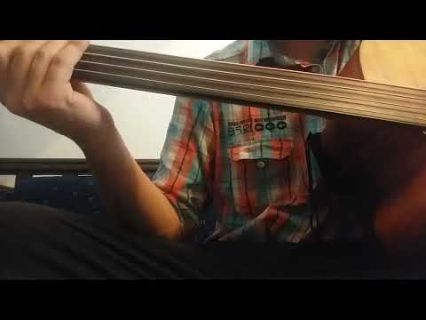 Kabát JOY acoustic bass