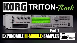 Korg Triton Rack Synthesizer - What To Know & Where To Buy Korg Triton Rack Synthesizer - What To Know & Where To Buy