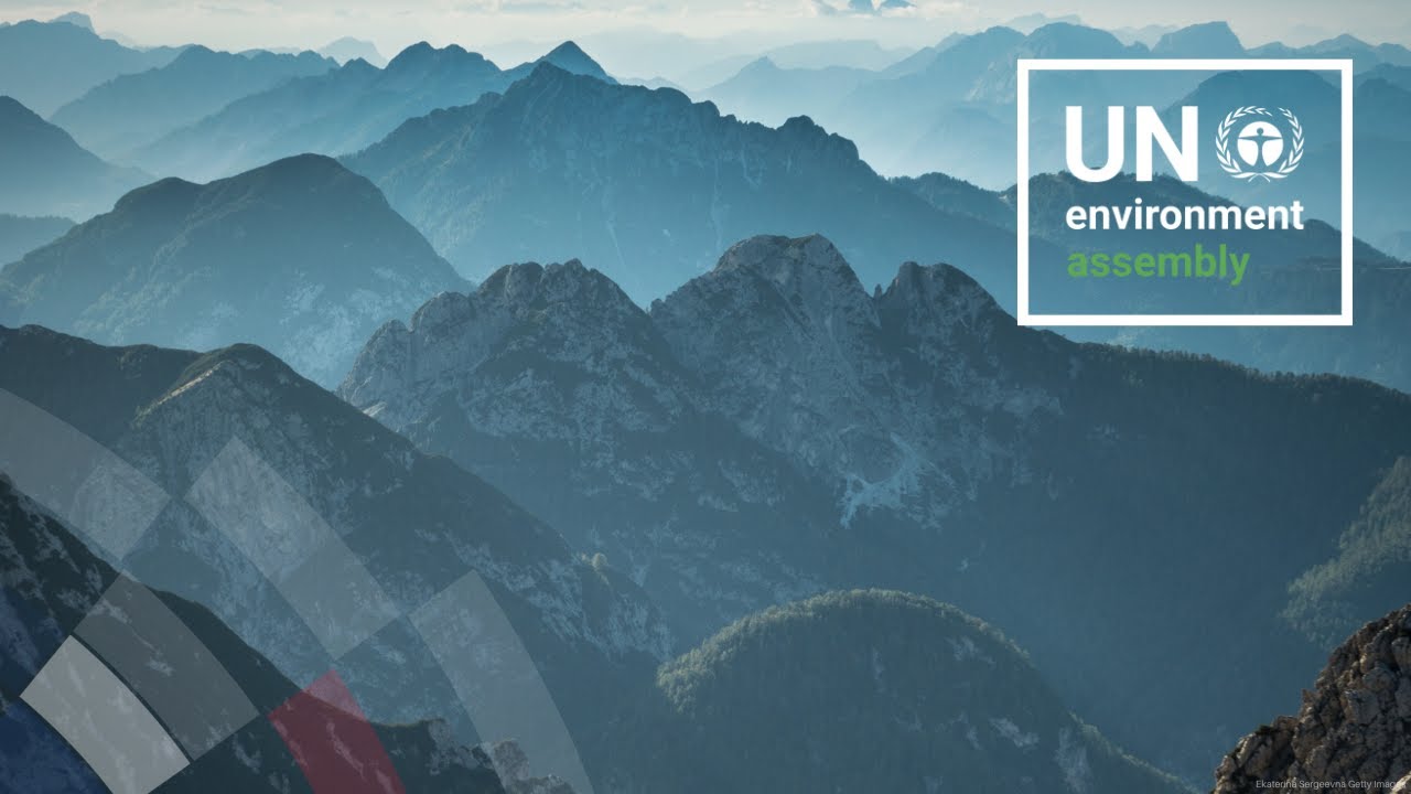 High-Integrity Carbon Markets: Impact and Path to Accelerated Climate Action.