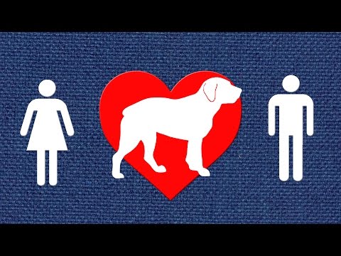 あなたの犬は誰をもっと愛していますか？ (Who Does Your Dog Love More?)
