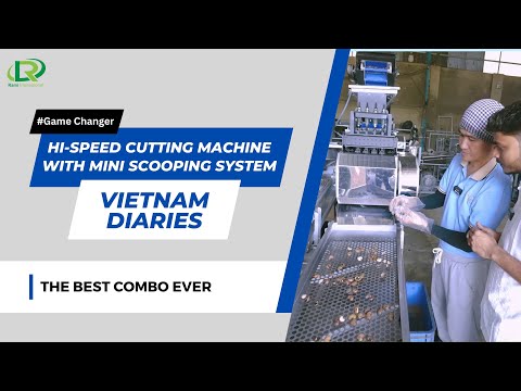 Vietnam 4 Blade Cashew Cutting Machine