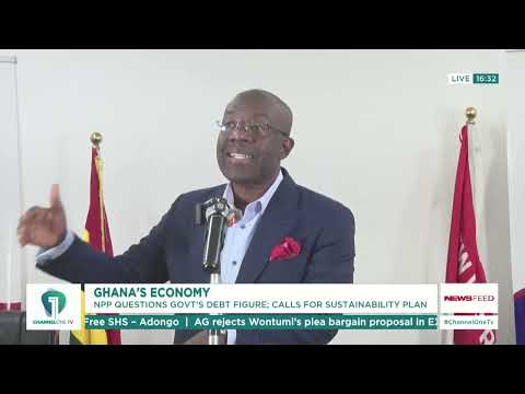 NPP Urges Finance Minister to Publish Debt Sustainability Plan