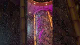 Pacific Adventure elevator #cruiseship #cruisetour #cruise #cruiseadventures #passengership #travel