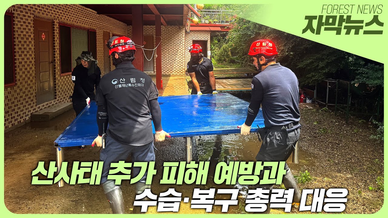 산림청: 집중호우·산사태 대응 브리핑 썸네일