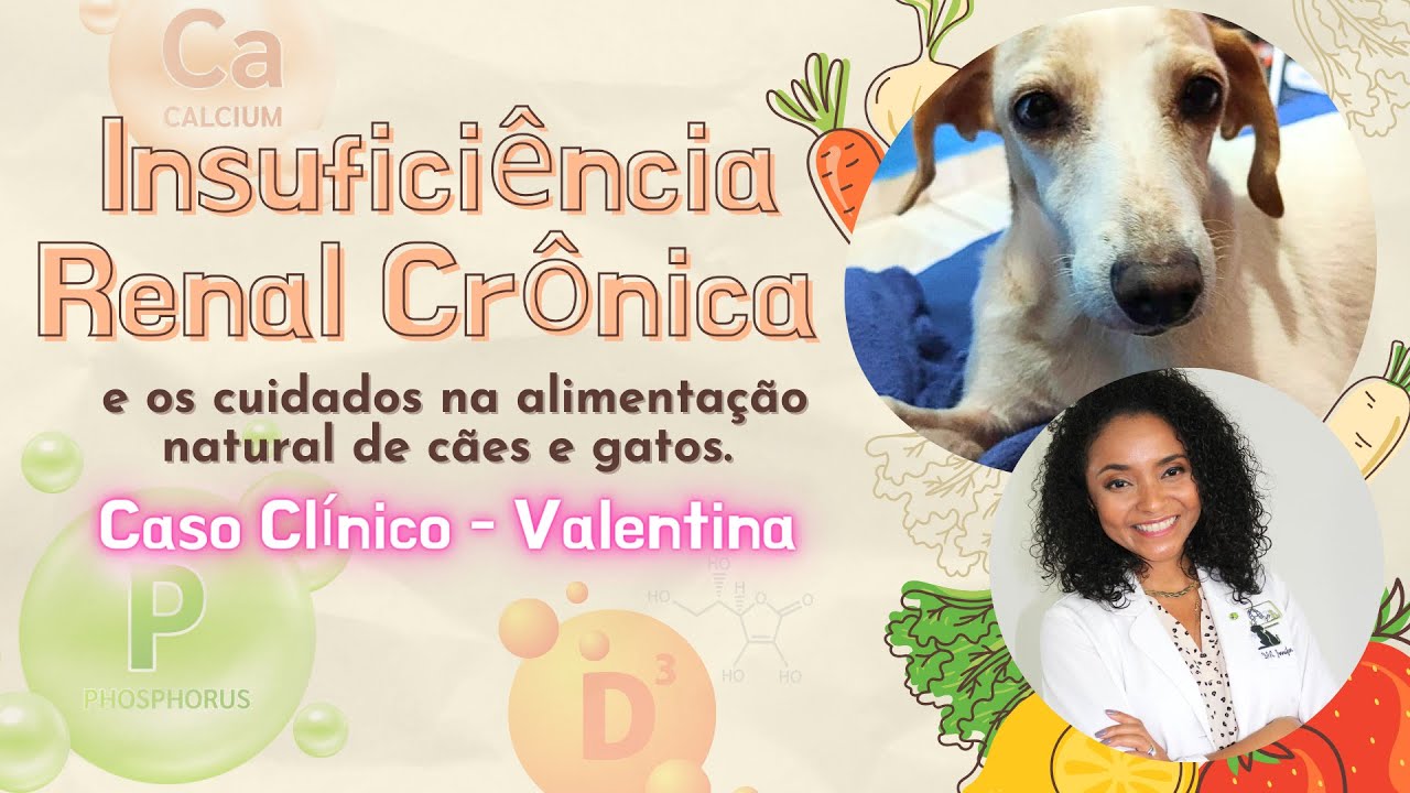 #INSUFICIÊNCIA #RENAL #CRÔNICA E OS CUIDADOS DA #ALIMENTAÇÃO #NATURAL de cães e gatos.