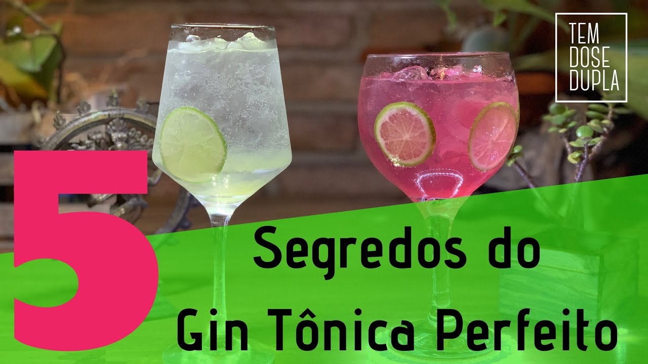 5 SEGREDOS DO GIN TÔNICA PERFEITO