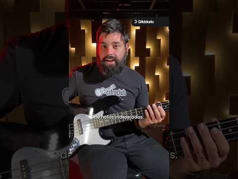 Abused - Freakzoom