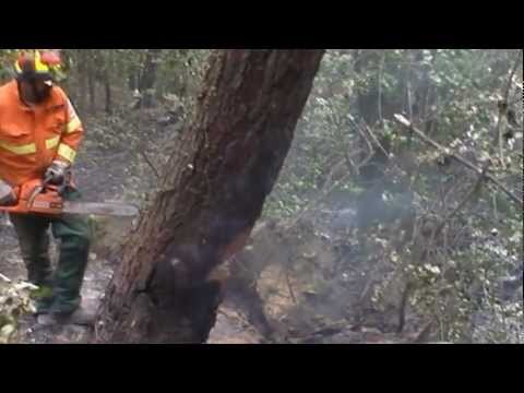 incendio la Rocca Montemurlo