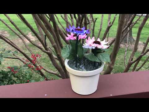 Ms. Mary Jane's Flowers