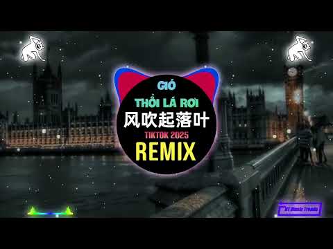 风吹起落叶 (DJ阿智版) Gi&oacute; Thổi L&aacute; Rơi (Remix Tiktok 2025) - 赖湘文&焦七七 Lại Tương Văn/Ti&ecirc;u Thất Thất