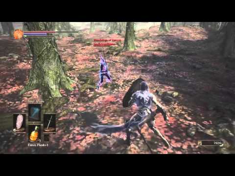 Dark Souls 3 giant crab gets help (invaded)