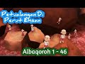 HAFALAN SURAT AL BAQOROH 1 46 UPIN IPIN UPIN IPIN PETUALANGAN DITARUH EHSAN