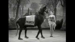 Brendon Moeller - Passage To Obscurity (AS002)