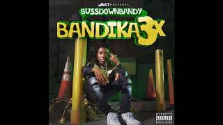 BussDown Bandy   09 Road Runner