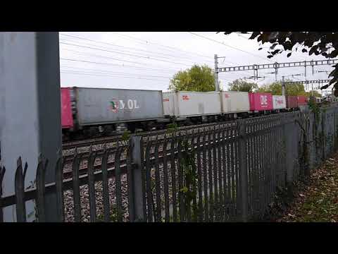 Freightliner 66955 Passing Tilehurst