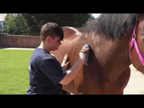 ITV Anglia News visit Ride High during lockdown - June 2020