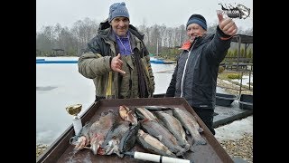 Малая истра платная рыбалка по новой риге