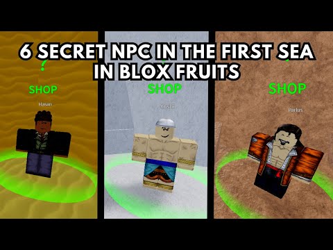 6 Secret NPC In The First Sea In Roblox Blox Fruits