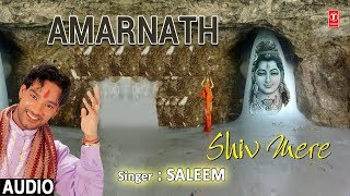 Amarnath I Shiv Bhajan I SALEEM I Full Audio Song 