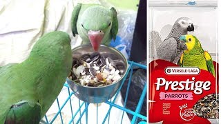 Healthy & Best Food For Alexandrine Parrots || Versele Laga Prestige Parrot || Amazon Unboxing