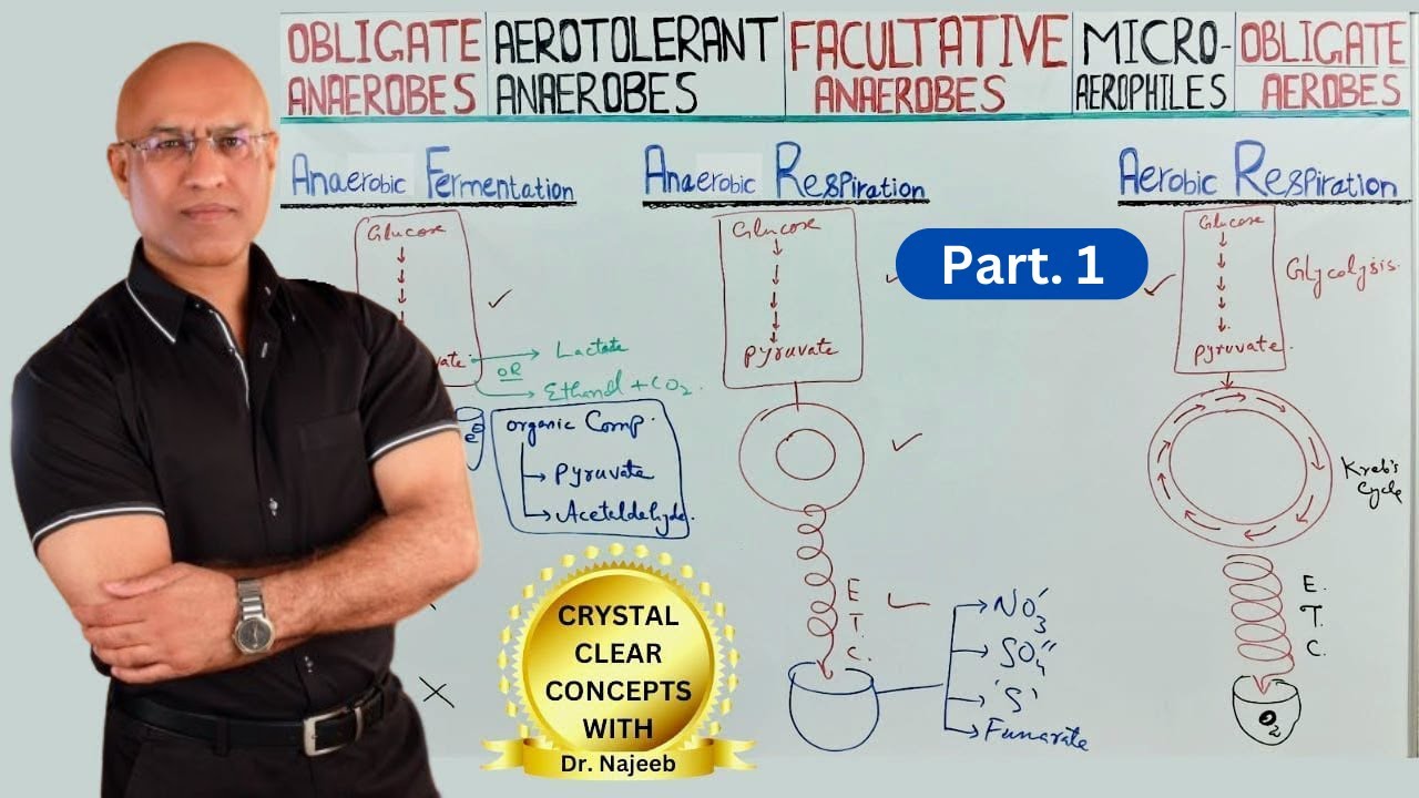 Aerobic And Anaerobic Bacteria | Bacterial Oxygen Requirements | Part 1 - YouTube