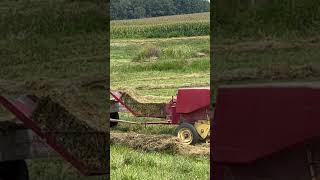 Square Hay Baler #shorts #farming #homestead