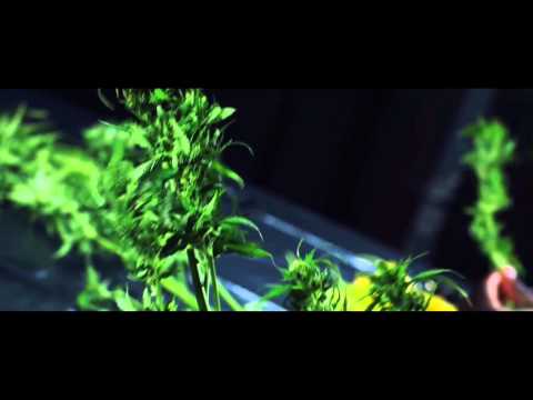 VBT 2015 Halbfinale Jenemy vs. Acou[HR](without Intro/outro) - Listen to