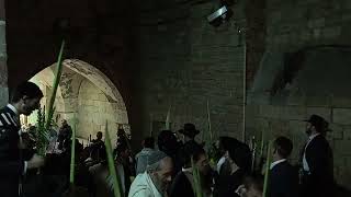 שירה בשער החשוך