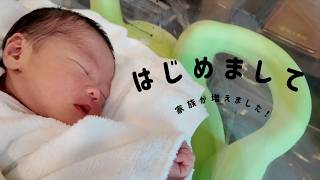 【日韓夫婦】家族が増えました。