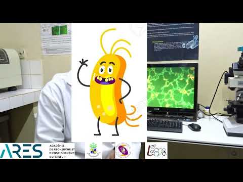Evaluation des effets antimicrobiens (bactéricide et antivirulence) des saponines extraites des viscères de concombres de mer de Tuléar