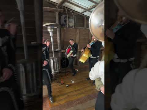 🎺3105956168🔥 ¿BUSCAS UN MARIACHI RANCHERO ECONÓMICO EN MARINILLA, ANTIOQUIA? ¡LO HAS ENCONTRADO! 🔥🎺