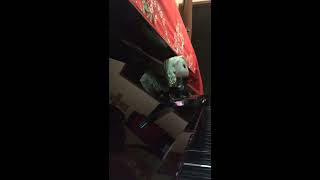 Jacob's Bakery/Kowalski Rag - Piano Version (Fantastic Beasts)