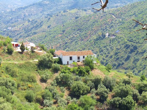AX1072 - Lagar de las Fragua, Montes de Malaga