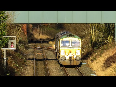 Freightliner Class 66 No's. 66610 & 66614 on 0M25 Leeds Balm Rd - Crewe Basford Hall on 03.01.21 HD